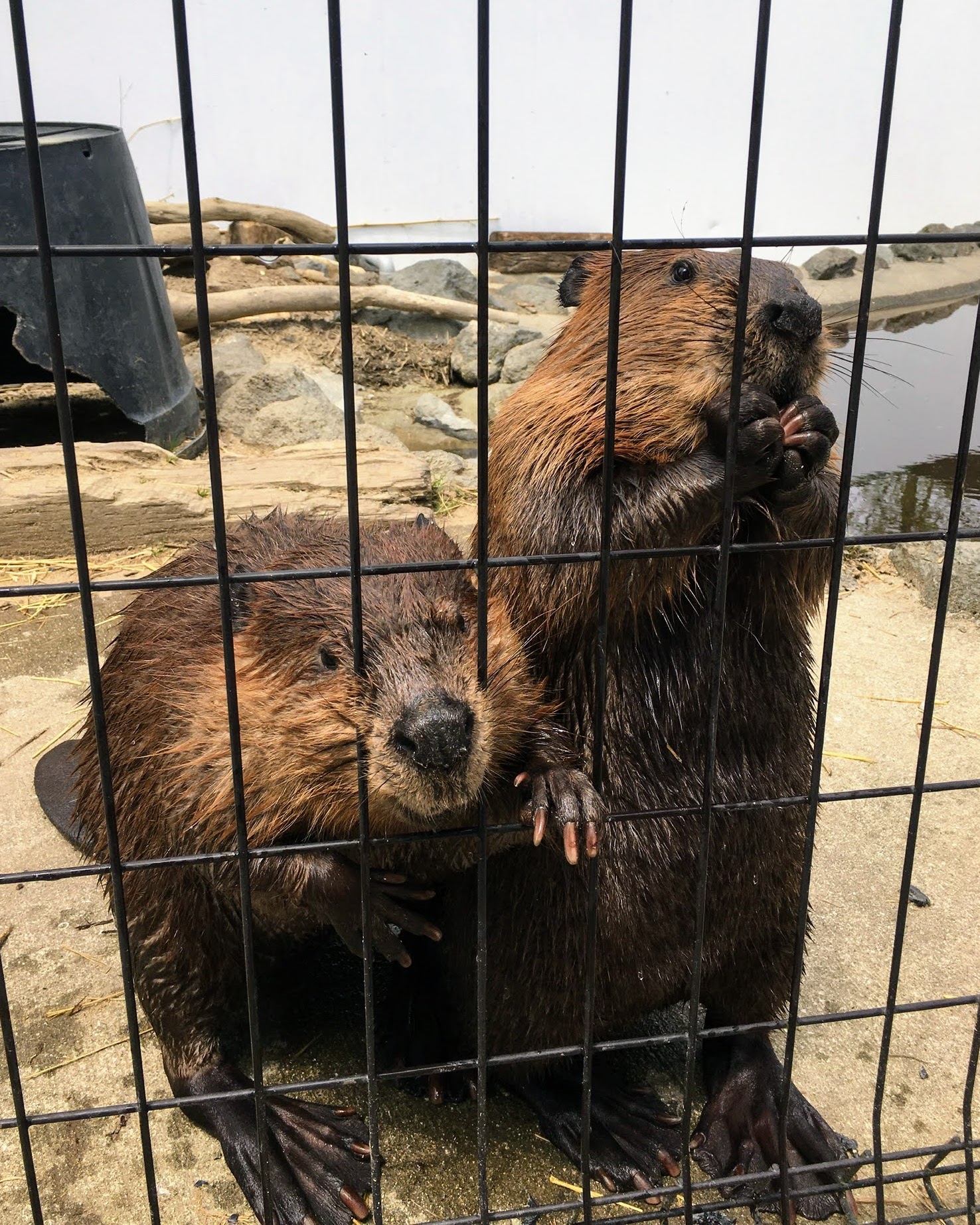 春ですね。