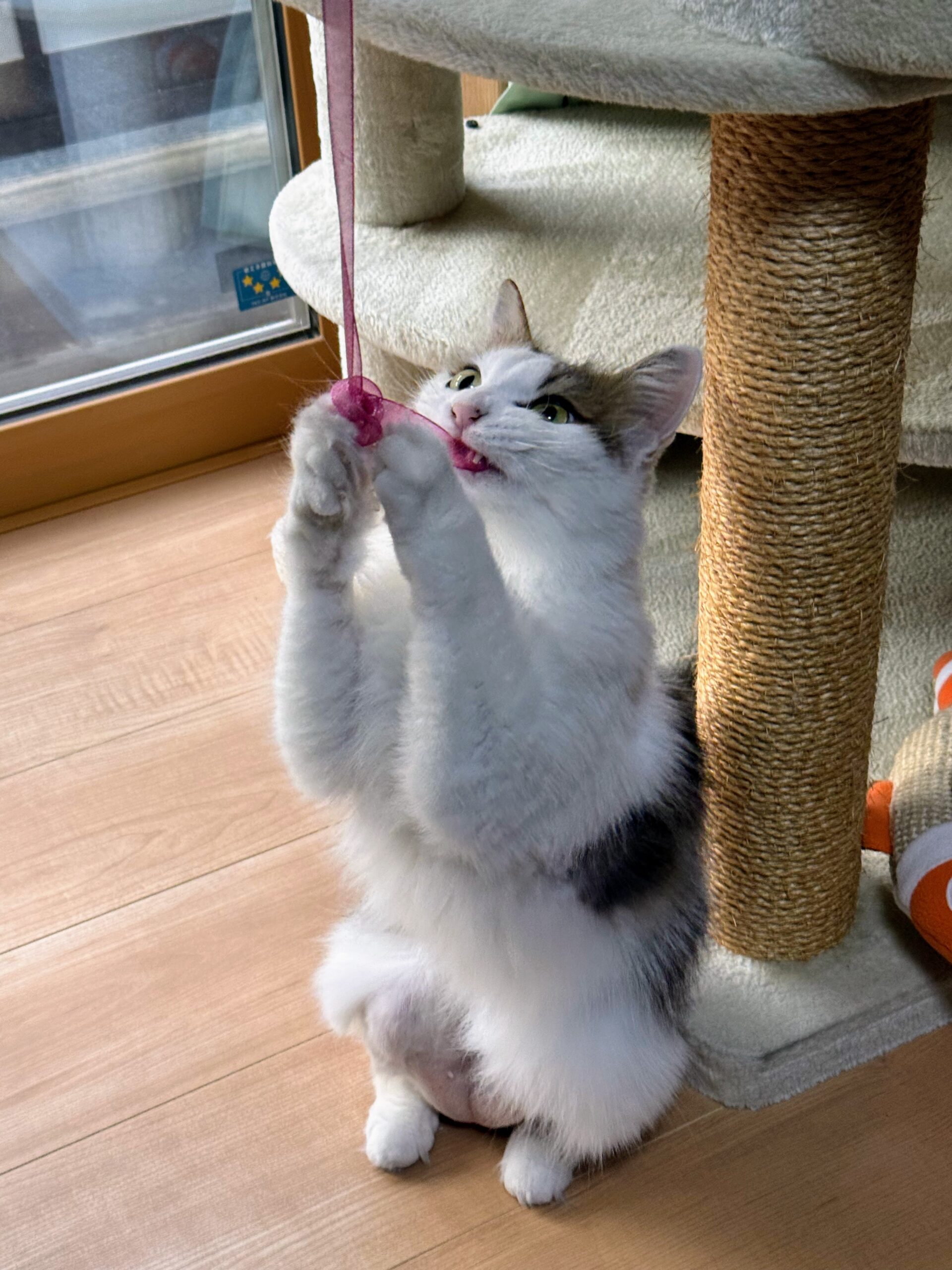 寒さが増してきました